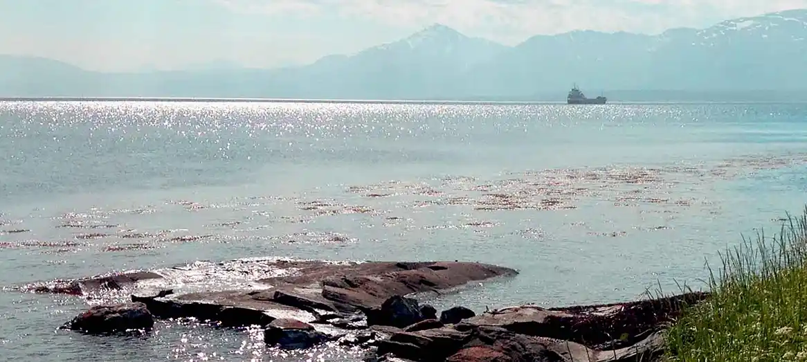Fin dag på Sydspissen på Tromsøya Fin dag på Sydspissen på Tromsøya