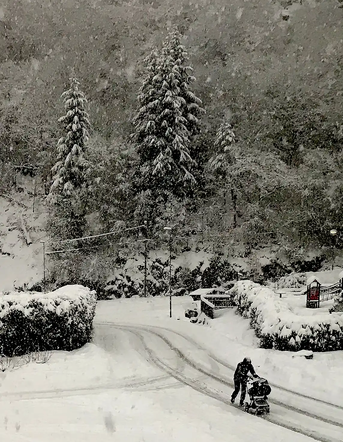 Vinter i Bergen Vinter i Bergen